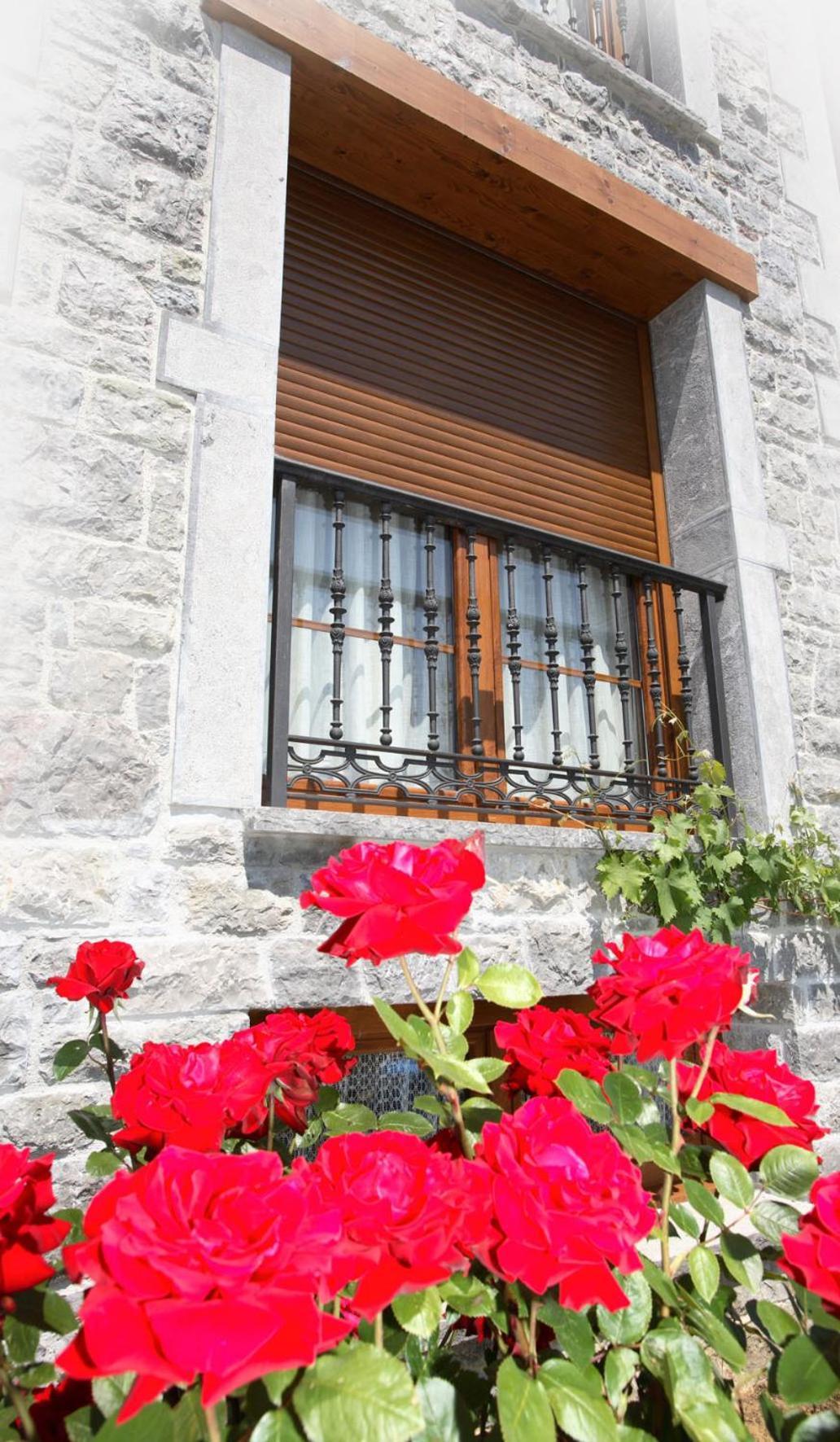 Apartamentos Rurales La Vina Cangas de Onís Exterior foto